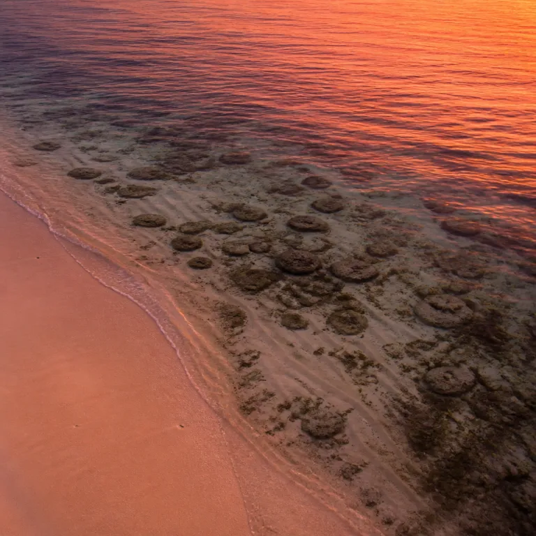 Best Aruba Snorkeling Spots Near Hotels: Where to Stay and Swim