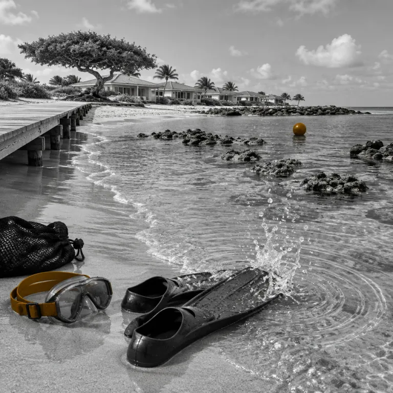 The best shore snorkeling in Aruba, matched to where you stay